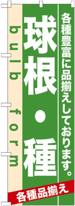 画像1: のぼり旗　球根・種