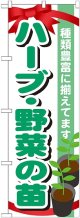 〔G〕 ハーブ・野菜の苗　のぼり