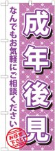 〔G〕 成年後見　のぼり