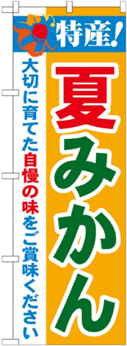 画像1: 特産!夏みかん のぼり