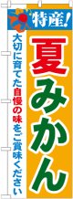 特産!夏みかん のぼり