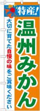 特産!温州みかん のぼり