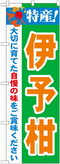 画像1: 特産!伊予柑 のぼり