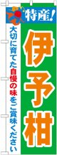 特産!伊予柑 のぼり