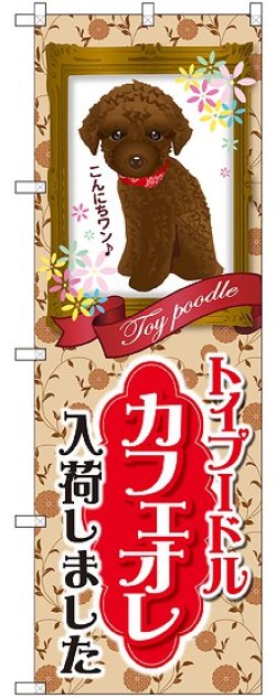 画像1: 〔G〕 トイプードル カフェオレ 入荷 のぼり