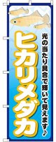 〔G〕 ヒカリメダカ のぼり