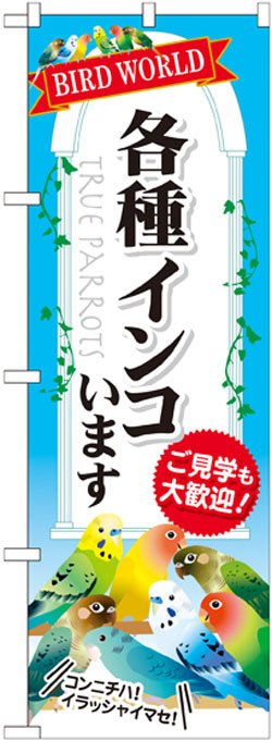 画像1: のぼり旗　各種インコいます