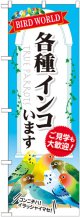 のぼり旗　各種インコいます