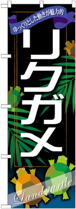 画像1: のぼり旗　リクガメ