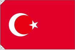 画像2: 世界の国旗 (販促用)  トルコ　(ミニ・小・大)