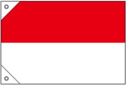 画像1: 世界の国旗 (販促用)  インドネシア　(ミニ・小・大)