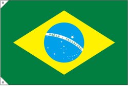 画像2: 世界の国旗 (販促用)  ブラジル　(ミニ・小・大)