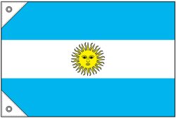 画像1: 世界の国旗 (販促用)  アルゼンチン　(ミニ・小・大)