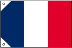 画像1: 世界の国旗 (販促用)  フランス　(ミニ・小・大)