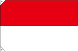 画像2: 世界の国旗 (販促用)  インドネシア　(ミニ・小・大)