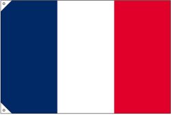 画像2: 世界の国旗 (販促用)  フランス　(ミニ・小・大)