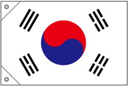画像1: 世界の国旗 (販促用)  韓国　(ミニ・小・大)