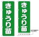 10枚セットのぼり旗　きゅうり苗　受注生産品