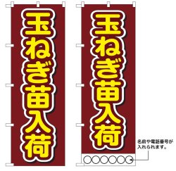 画像1: 10枚セットのぼり旗　玉ねぎ苗入荷　受注生産品