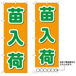 画像1: 10枚セットのぼり旗　苗入荷　受注生産品