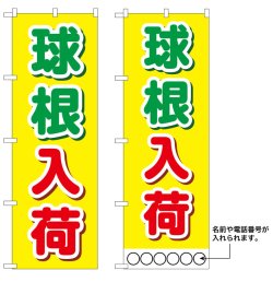画像1: 10枚セットのぼり旗　球根入荷　受注生産品