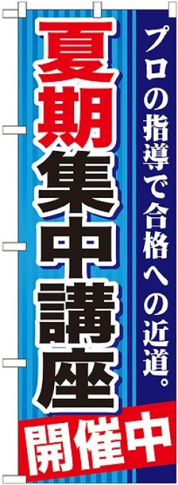 画像1: 〔G〕 夏期集中講座　開催中　青　のぼり