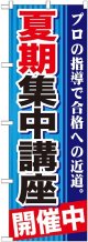 〔G〕 夏期集中講座　開催中　青　のぼり