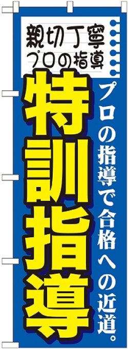 画像1: 〔G〕 親切丁寧プロの指導　特訓指　のぼり