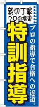 〔G〕 親切丁寧プロの指導　特訓指　のぼり