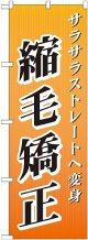 〔G〕 縮毛矯正 のぼり