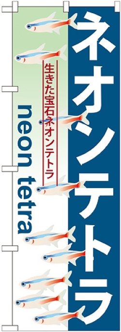 画像1: 〔G〕 ネオンテトラ のぼり