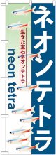 〔G〕 ネオンテトラ のぼり