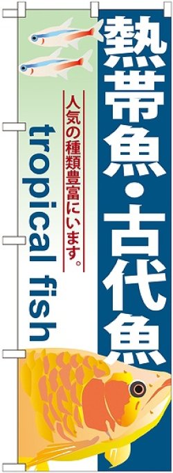 画像1: 〔G〕 熱帯魚 ・古代魚 のぼり