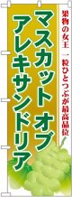 マスカット オブ アレキサン のぼり