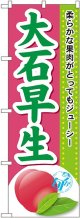 大石早生 のぼり