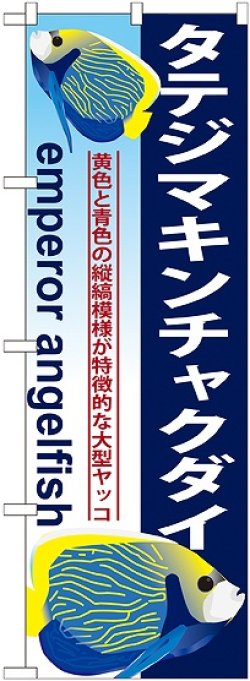 画像1: 〔G〕 タテジマキンチャクダイ のぼり