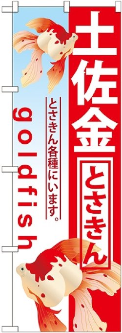 画像1: 〔G〕 土佐金 のぼり