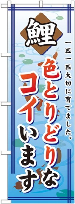 画像1: 〔G〕 色とりどりなコイいます のぼり