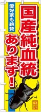 〔G〕 国産純血統あります のぼり