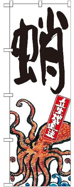 画像1: 〔G〕 蛸 産地直送 白 のぼり