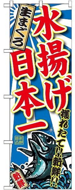 画像1: 〔G〕 生まぐろ 水揚げ日本一のぼり