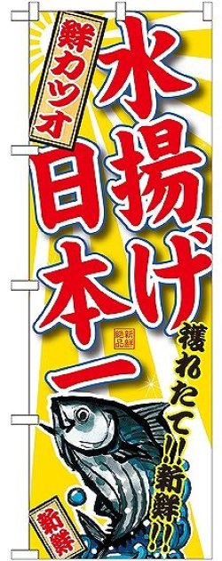 画像1: 〔G〕 鮮カツオ 水揚げ日本一のぼり