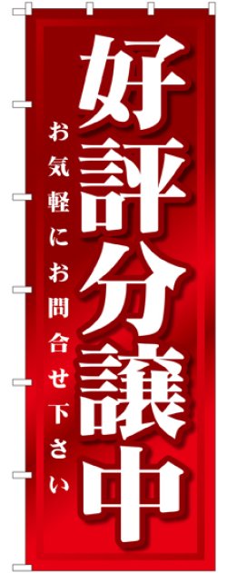 画像1: 好評分譲中 赤大のぼり