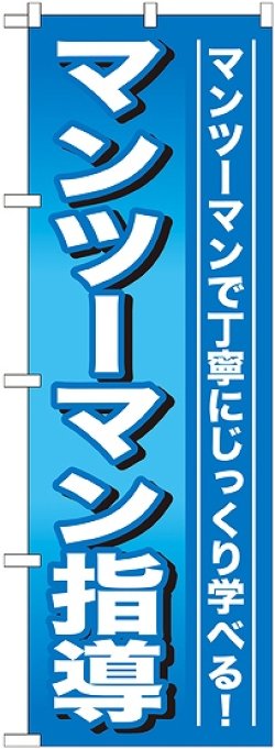 画像1: 〔G〕 マンツーマン指導 のぼり