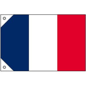 画像: 世界の国旗 (販促用)  フランス　(ミニ・小・大)
