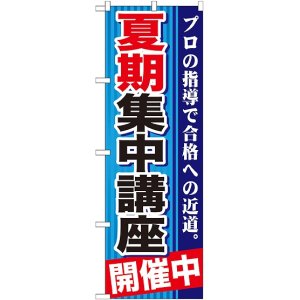 画像: 〔G〕 夏期集中講座　開催中　青　のぼり