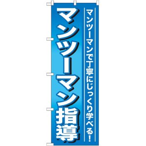 画像: 〔G〕 マンツーマン指導 のぼり