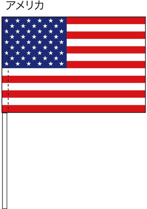画像1: 手旗　アメリカ
