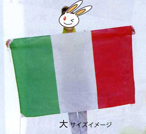 画像: 世界の国旗 (販促用)  日本　(ミニ・小・大)