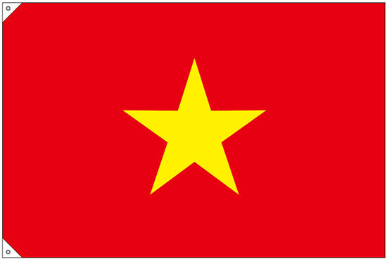 画像3: 世界の国旗 (販促用)  ベトナム　(ミニ・小・大)